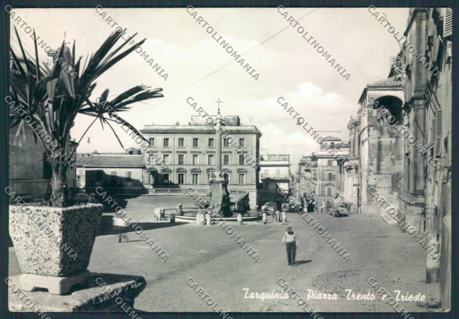 Viterbo Tarquinia PIEGA Foto FG cartolina MV1615 – fronte