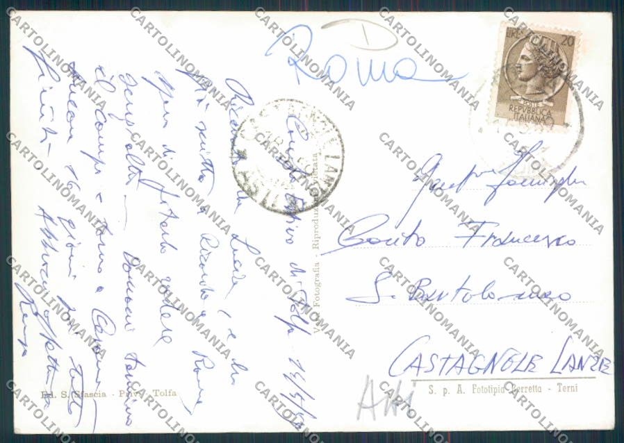 Roma Tolfa Foto FG cartolina MV1951 – retro