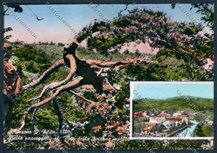 Parma Tizzano Foto FG cartolina MV2543 – fronte