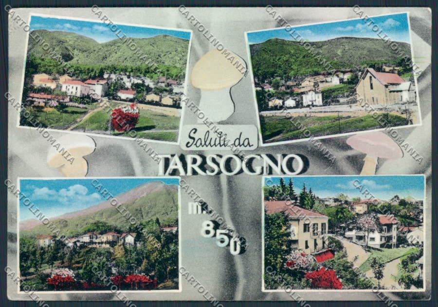 Parma Tarsogno Foto FG cartolina MV2547 – fronte