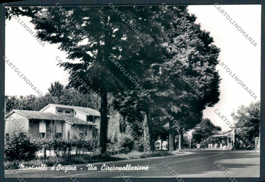 Piacenza Monticelli d'Ongina Foto FG cartolina MV2677 – fronte