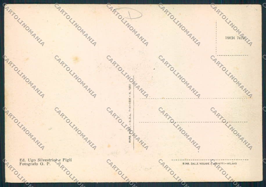 Ravenna Brisighella FG cartolina MV2959 – retro
