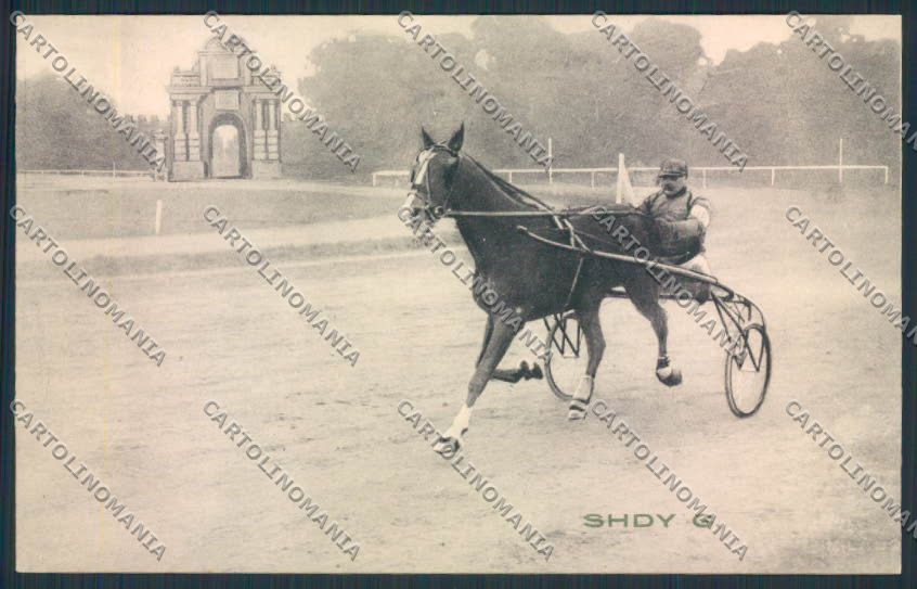 Ravenna Faenza Ippica trotto cartolina MV2986 – fronte