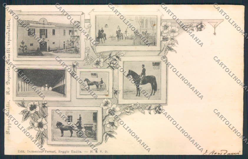 Reggio Emilia Città horse Cavallo cartolina MV3133 – fronte