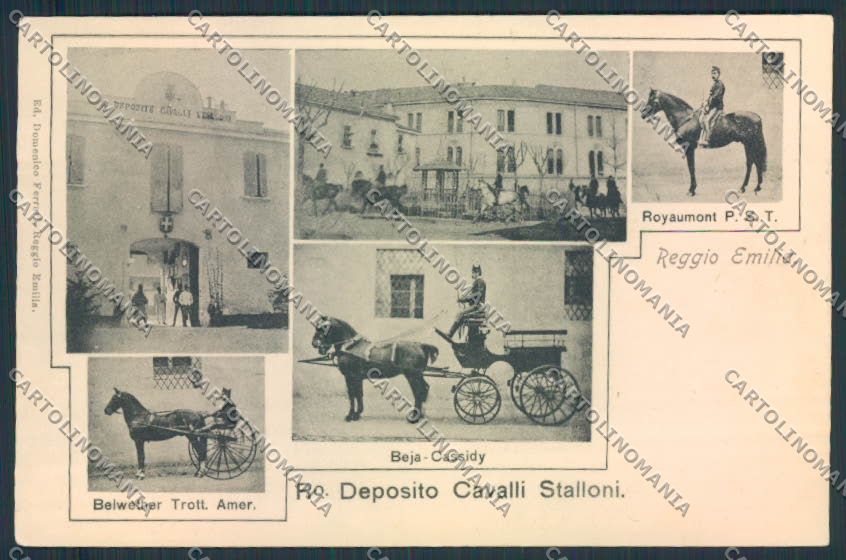 Reggio Emilia Città horse Cavallo cartolina MV3134 – fronte