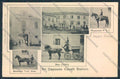 Reggio Emilia Città horse Cavallo cartolina MV3134 – fronte