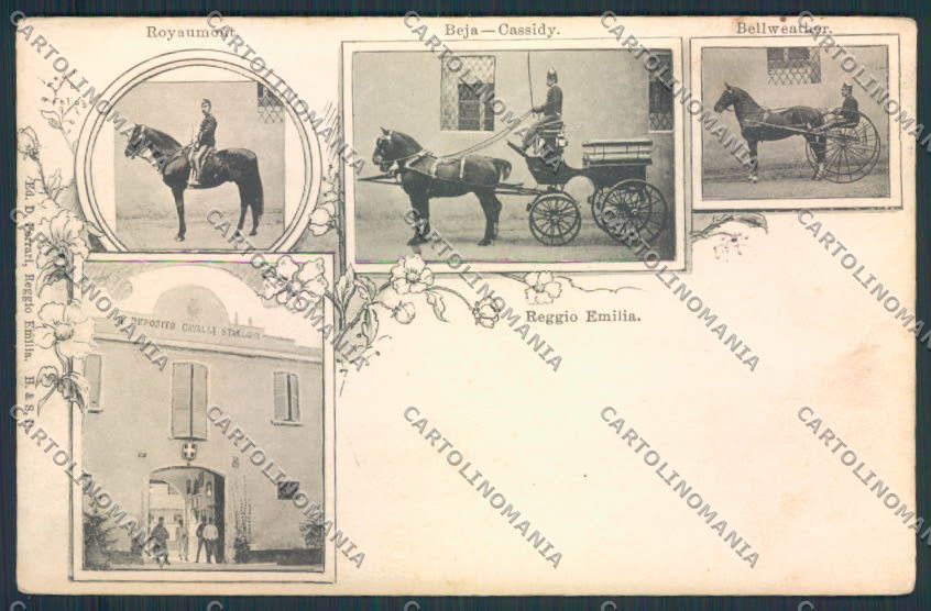 Reggio Emilia Città horse Cavallo cartolina MV3135 – fronte