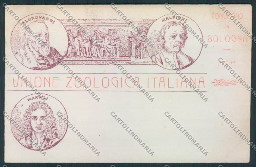 Bologna Unione Zoologica Malpighi cartolina MV3318 – fronte