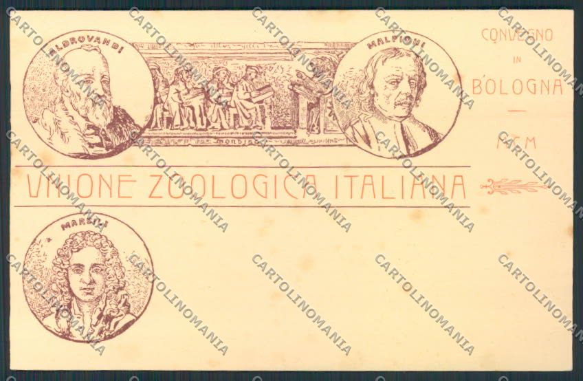 Bologna Unione Zoologica Malpighi cartolina MV3323 – fronte