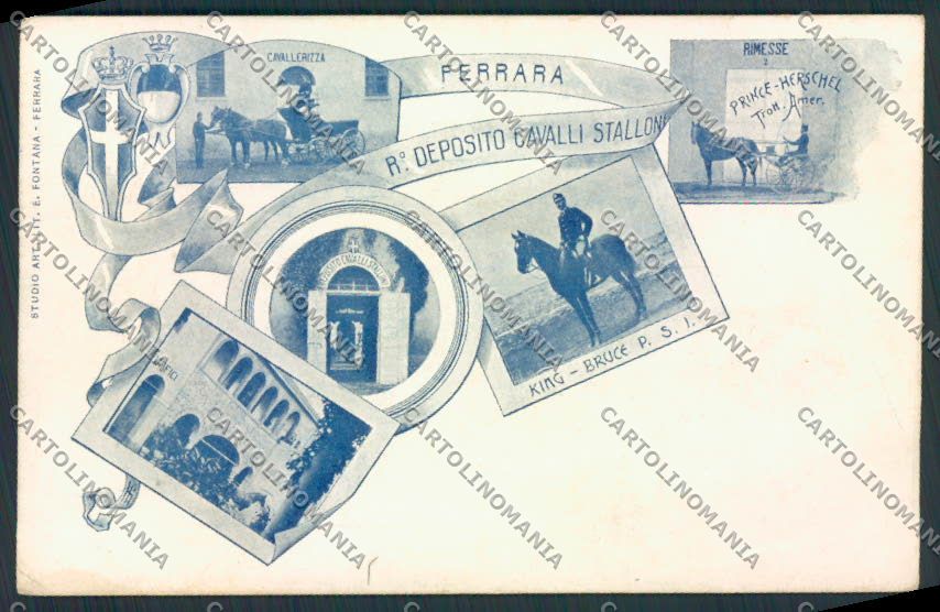 Ferrara Città Cavallo Horse cartolina MV3517 – fronte