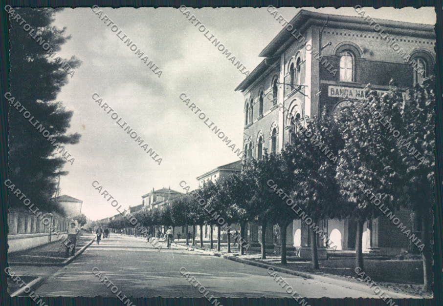 Ferrara Mirabello FG cartolina MV3591 – fronte