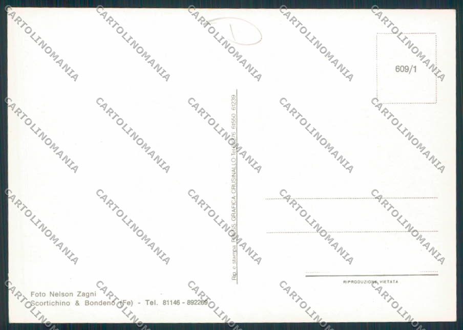 Ferrara Stellata Saluti da Foto FG cartolina MV3622 – retro