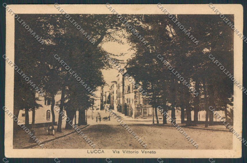 Lucca Città PIEGHINA cartolina MV3810 – fronte