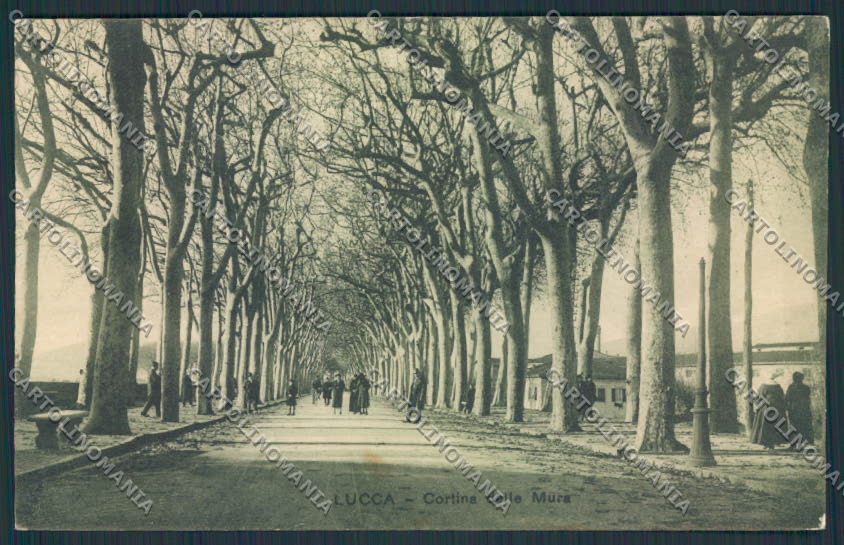 Lucca Città cartolina MV3815 – fronte