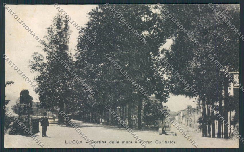 Lucca Città cartolina MV3824 – fronte