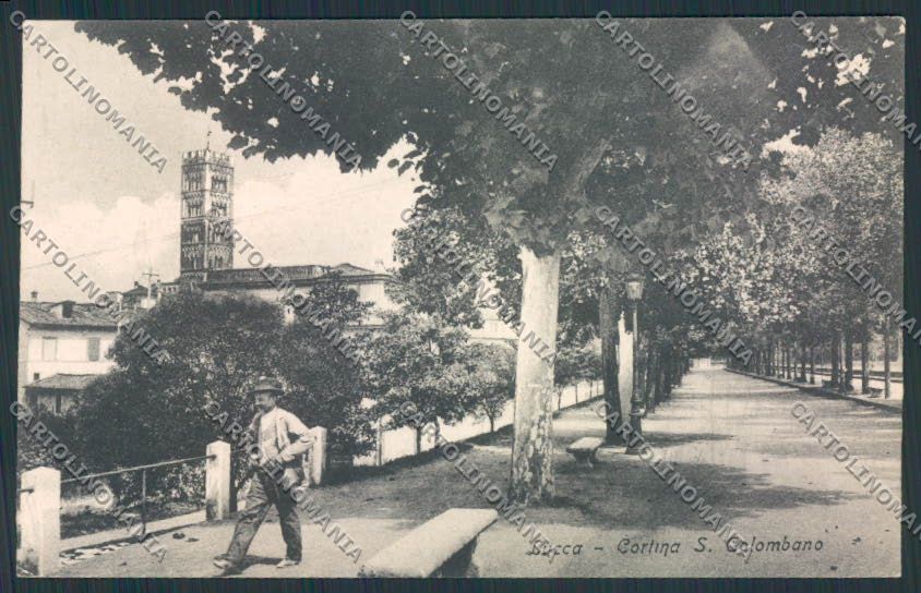 Lucca Città cartolina MV3826 – fronte