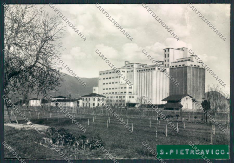 Lucca S.Pietro Vico STRAPPO ADESIVO Foto FG cartolina MV3884 – fronte