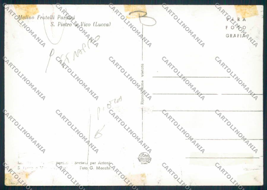 Lucca S.Pietro Vico STRAPPO ADESIVO Foto FG cartolina MV3884 – retro