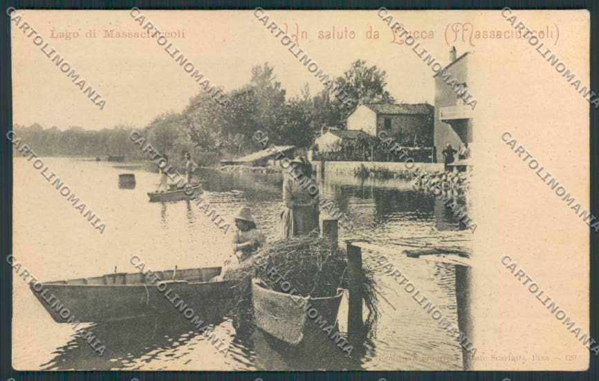 Lucca Massaciuccoli cartolina MV3958 – fronte