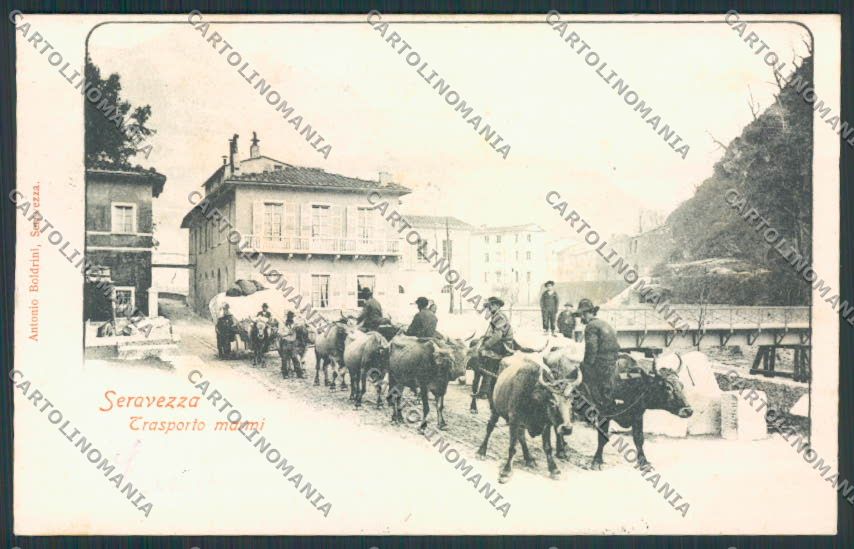 Lucca Seravezza Trasporto Marmi cartolina MV3960 – fronte