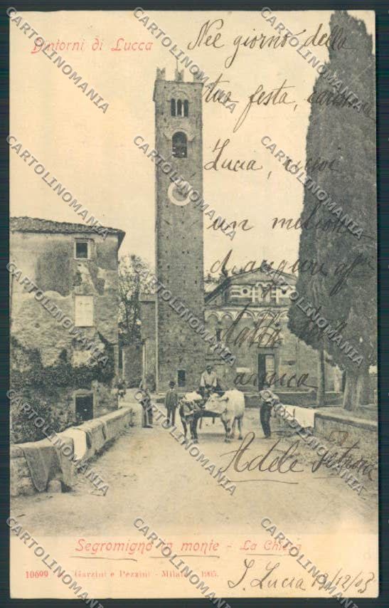 Lucca Segromigno in Monte cartolina MV3961 – fronte