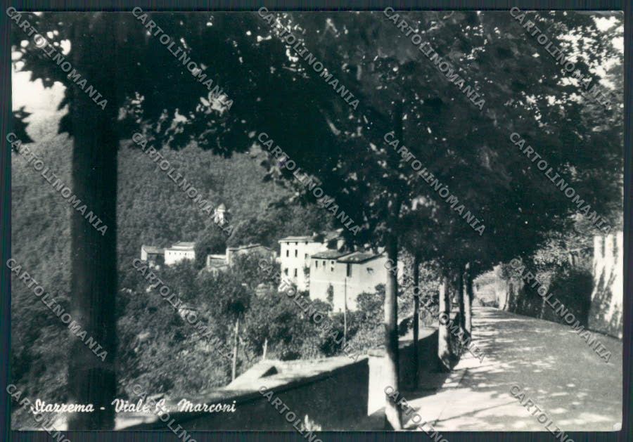 Lucca Stazzema Foto FG cartolina MV3976 – fronte