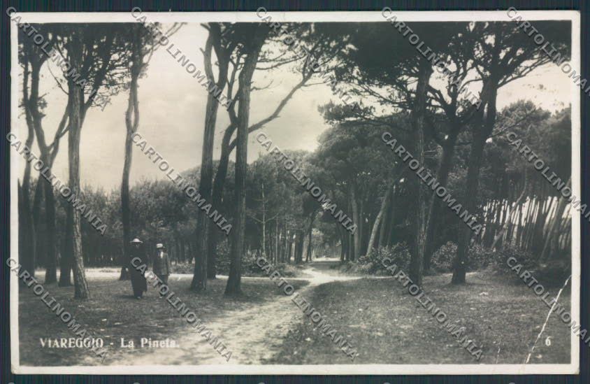 Lucca Viareggio PIEGA Foto cartolina MV4042 – fronte