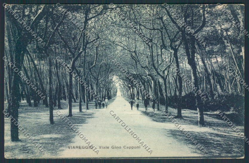 Lucca Viareggio cartolina MV4046 – fronte