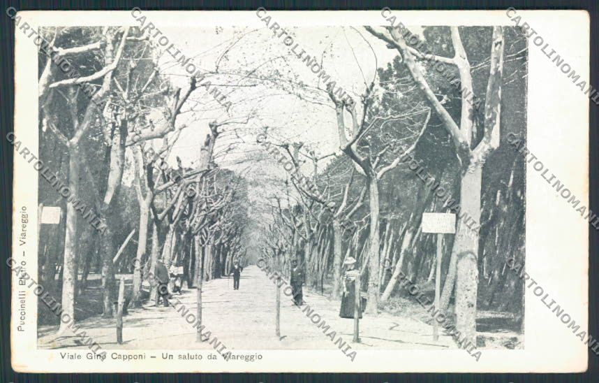 Lucca Viareggio cartolina MV4079 – fronte