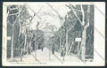 Lucca Viareggio cartolina MV4079 – fronte