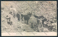 Massa Carrara Cave Marmo cartolina MV4210 – fronte