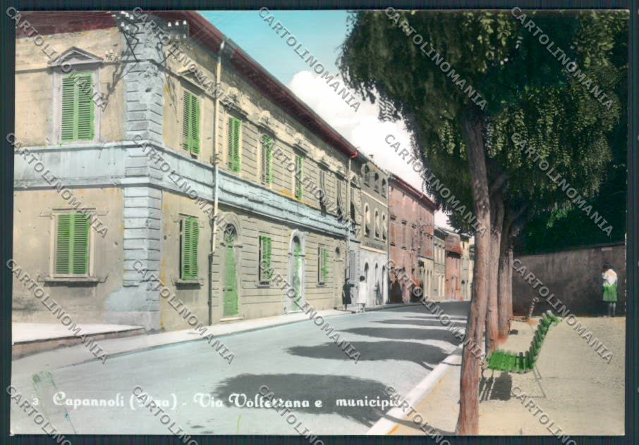 Pisa Capannoli Foto FG cartolina MV4381 – fronte