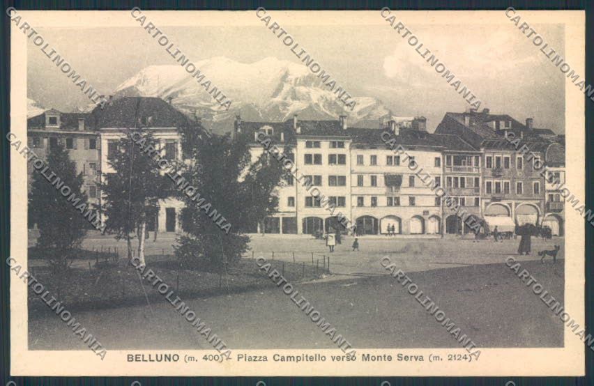 Belluno Città cartolina MV4432 – fronte