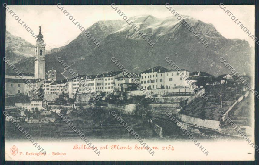 Belluno Città cartolina MV4443 – fronte