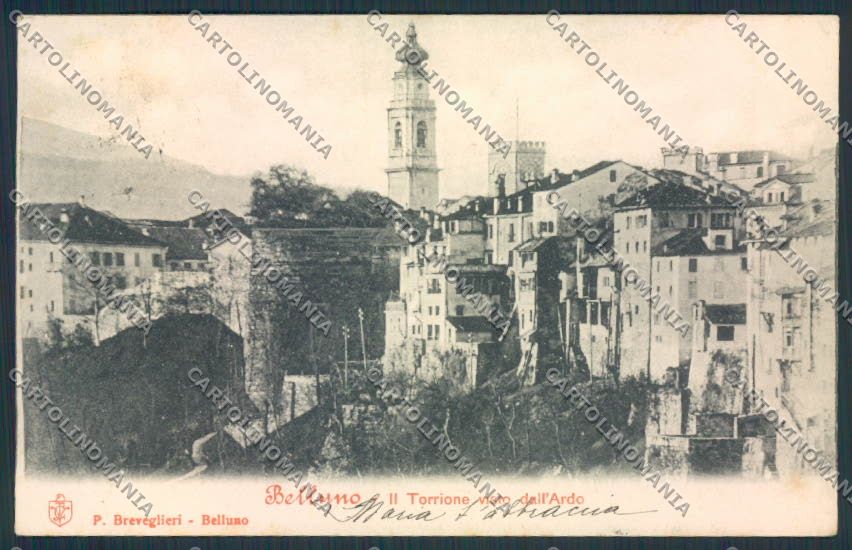Belluno Città cartolina MV4448 – fronte