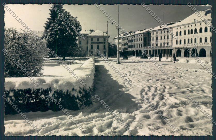 Belluno Città Foto cartolina MV4450 – fronte