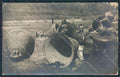 Belluno Ladri Campane PIEGHINE Foto cartolina MV4457 – fronte