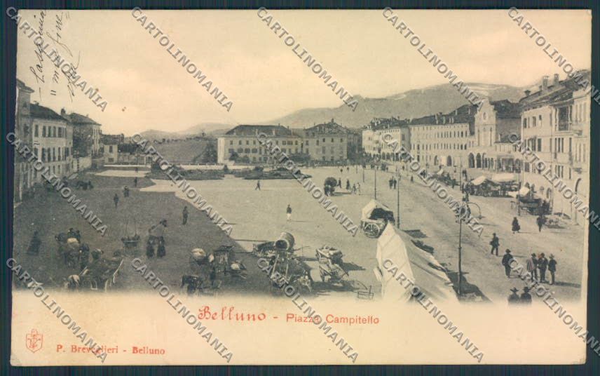 Belluno Città cartolina MV4462 – fronte