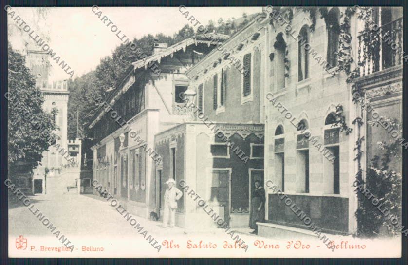 Belluno Città Vena d'Oro cartolina MV4463 – fronte