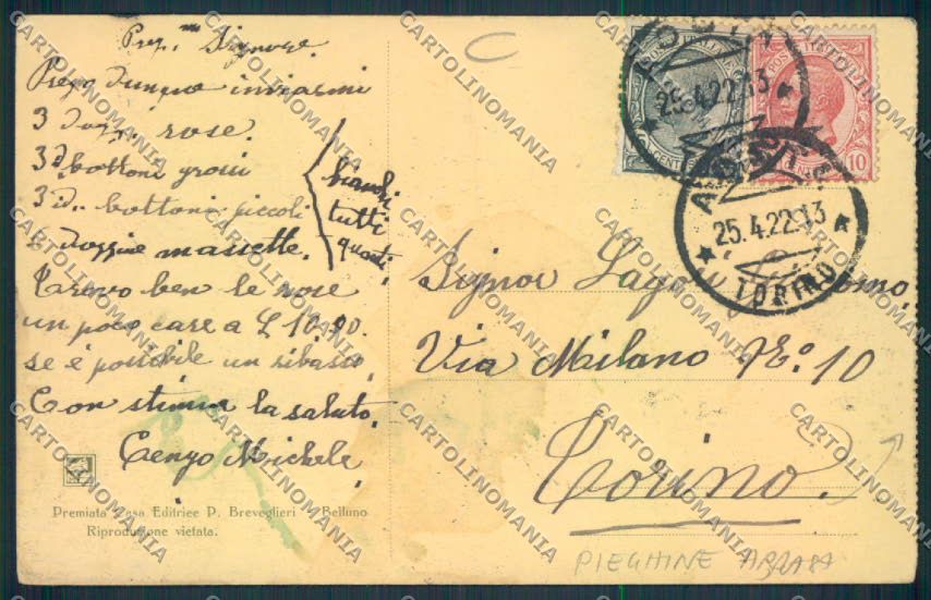 Belluno Tai di Cadorecartolina MV4472 – retro