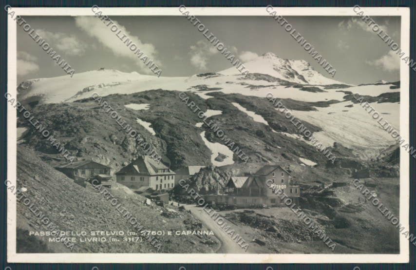 Belluno Passo Stelvio Foto cartolina MV4473 – fronte