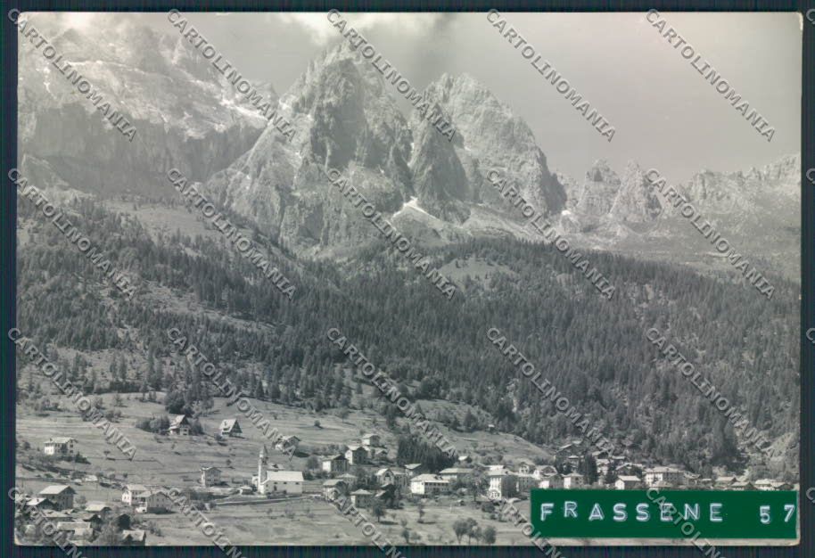Belluno Frassenè ADESIVO Foto FG cartolina MV4559 – fronte
