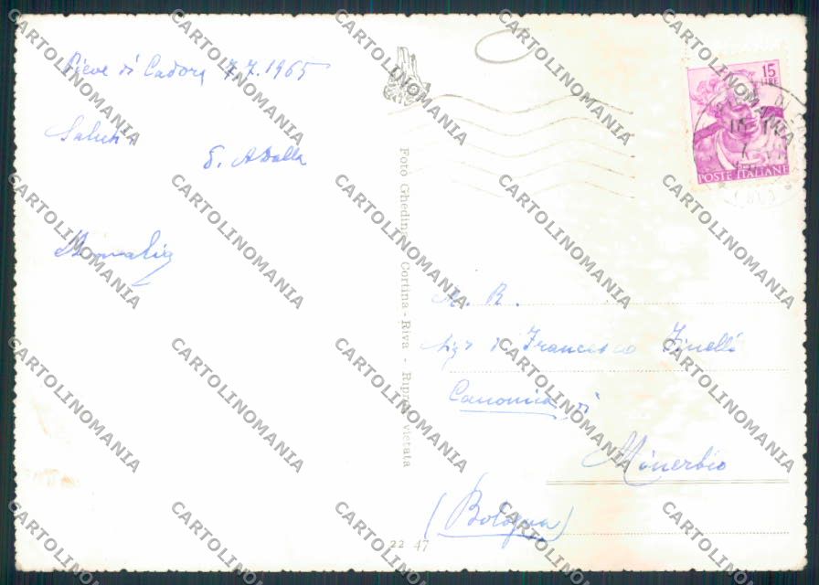 Belluno Pieve Cadore ADESIVO Foto FG cartolina MV4587 – retro