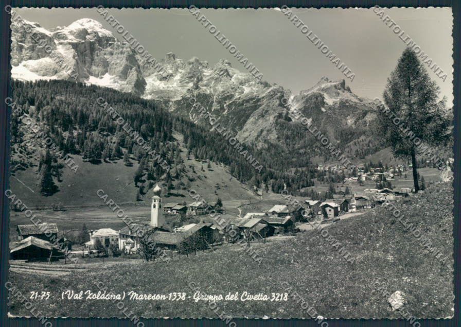 Belluno Mareson COLLA Foto FG cartolina MV4604 – fronte
