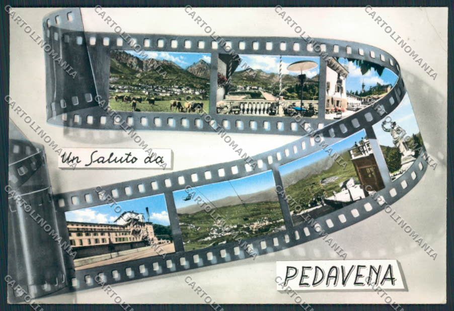 Belluno Pedavena Foto FG cartolina MV4616 – fronte