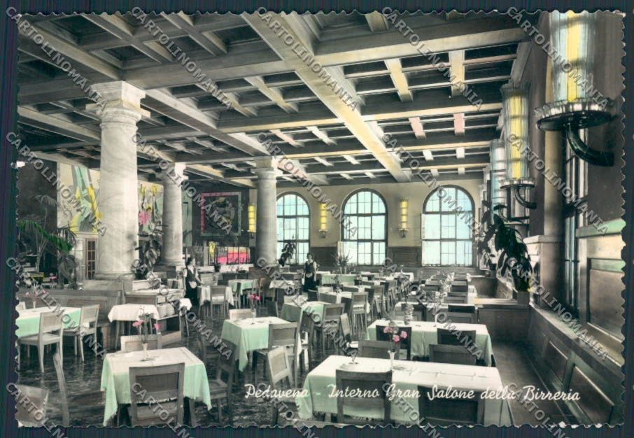 Belluno Pedavena Foto FG cartolina MV4625 – fronte