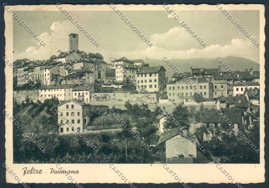 Belluno Feltre PIEGHINE FG cartolina MV4630 – fronte