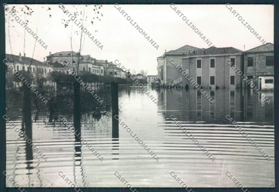 Rovigo Città Alluvione Foto FG cartolina MV4830 – fronte
