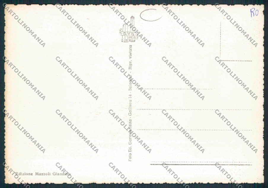 Rovigo Castelmassa FG cartolina MV4850 – retro