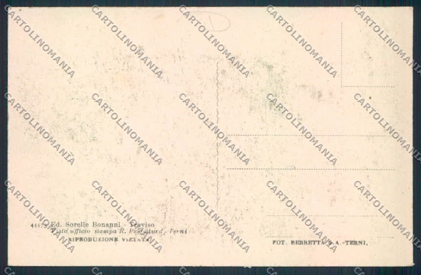 Treviso Città cartolina MV4864 – retro